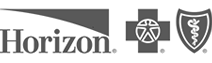 Horizon insurance logo